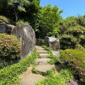 5月20日のお稽古ー茶筅荘、盆点、濃茶薄茶平点前