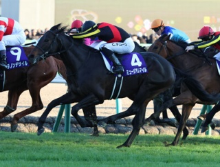 ミュージアムマイル（25/12/28・第70回 有馬記念・中山競馬場）