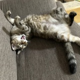 足を伸ばしていたならね