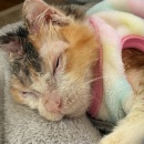 孤独な老後を招く習慣＆ゴボウと豚肉のカリカリ唐揚げ