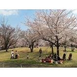 ��2026ǯ�١����α�٤β���