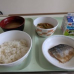 トラッチーのちょこっと日記