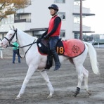 ニュースストライカー9