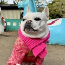 2026年あけましておめでとうございます。