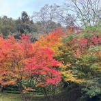 あおちゃんのZIL Noble旅