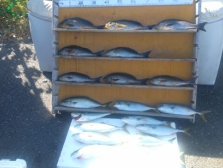 　　　　　　　　２０２５年11月16日