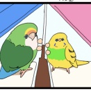 🦜🦜ふたり一緒なら、怖くないかも〜