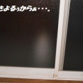 猫に小判を与えたら。 埋蔵金:千九百弐拾両 なにしぃ~戻るぅ?