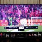 夫婦スポーツ観戦記！