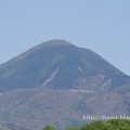 ジャーマンアイリス開花