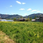 ＴｅａｍＡＡＴＰ～ＩＴＯコーチのマイペースライフ～