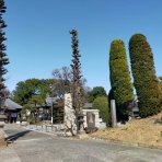 ウシ子とウシ夫の牛歩旅