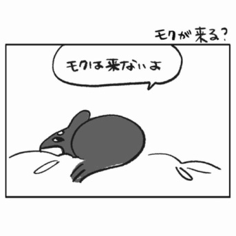 モクが来る？