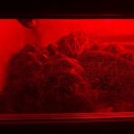 miniロボスタッフブログ