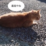 ソワレが要らないフランス暮らし