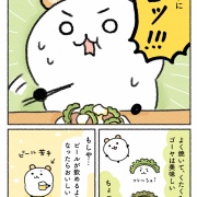 大人になったらゴーヤチャンプルは美味しくなるのか？