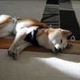 優しい秋