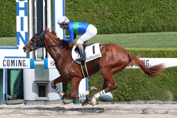 競馬ファンのこえ 和田竜二