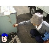 �ء������������ͽ��!?�٤β���