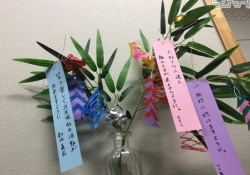 切ない・・・大園桃子の”七夕の願い事”がリアルで悲しい・・・