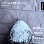 ぱっぽとにゃんの仲良しブログ♡♡♡