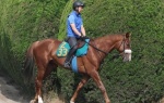 【悲報】プロメサアルムンド骨折で全治６カ月以上