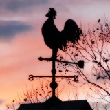 早起きのおまえらにちょっといいこと教えてやる