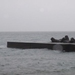 東伊豆 釣り情報の宿