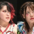女子プロレス界の話題！リングの妖精なつぽいと鷹木信悟の電撃結婚の全貌