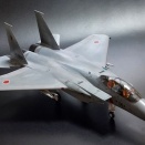 F-15DJ 202SQ (PART2)　