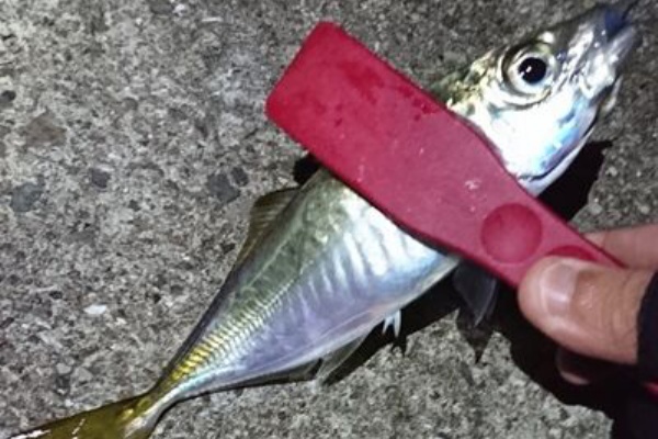 フィッシング流法 釣れない徒然日記 灘浜 大阪ガス