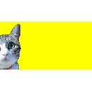 今日も沢山の訪問