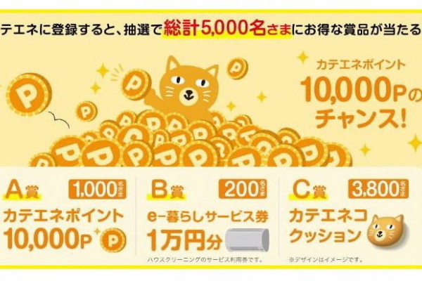 カテエネ登録ニャンペーン 中部電力