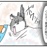 『ちょっとやそっとの蹴りじゃ、もう起きないよ。』の画像