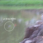 きららきらら☆