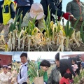 ネギ詰め放題＆ネギだれ・ネギ味噌に関して