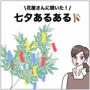 【花屋さんに聞いた！】七夕あるある🎋⭐️