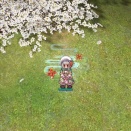 ドルイド作成　ラグナロクオンライン