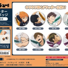 即時匿名発送 ハイキュー アニメ グッズ 大量 まとめ売り 激安 750点以上 アニメ＆漫画 グッズ情報 - ハイキュー!!