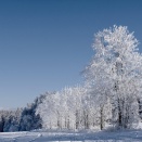 感想：｢白の魔法 ーモネ、大観も使った最強の色ー｣