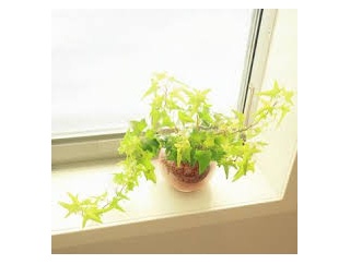 自分の歯磨きに自信のないおばさんです⤵️