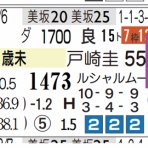 ハイブリッド競馬新聞