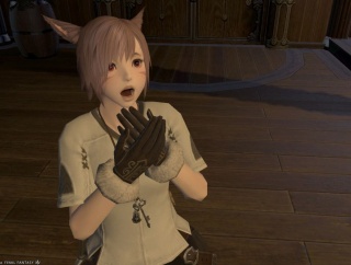 【FF14】「ギルは命より重い・・・！」傭兵の数増えすぎ問題もあるが、テキストフィルターのおかげで無問題？【闇バイト】