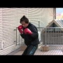 日本ボクシング連盟が南キャンしずちゃんに女子の強化委員就任を要請！普及や知名度向上を目指す