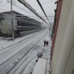 恵美の英語教室社長日記 ＋ コーチング ＋ α