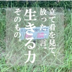 高嶋舞の子育てと中小企業のイノベーションと。【子どもや企業、人の魅力を引き出す】