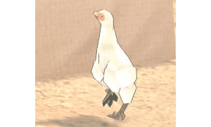 荒ぶる雌鳥「((⊂(^-^)⊃))ﾊﾞｯｻﾊﾞｻ」