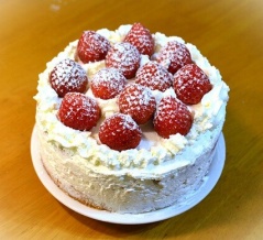 クリスマスイブ＆冬庭の情景