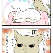 ねこ漫画＜それはわたしの＞