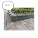 青山ランチ GENTLE Dining